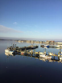Perfect Newport Morning 16x20 $75