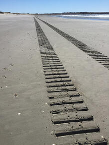 Tracks 1 16x20 $75